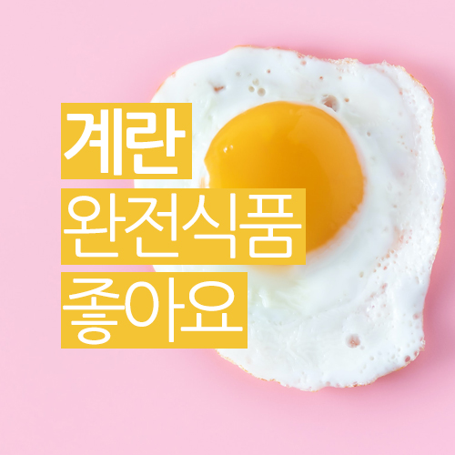  건강에는 계란이 좋아요 / 계란의 영양성분