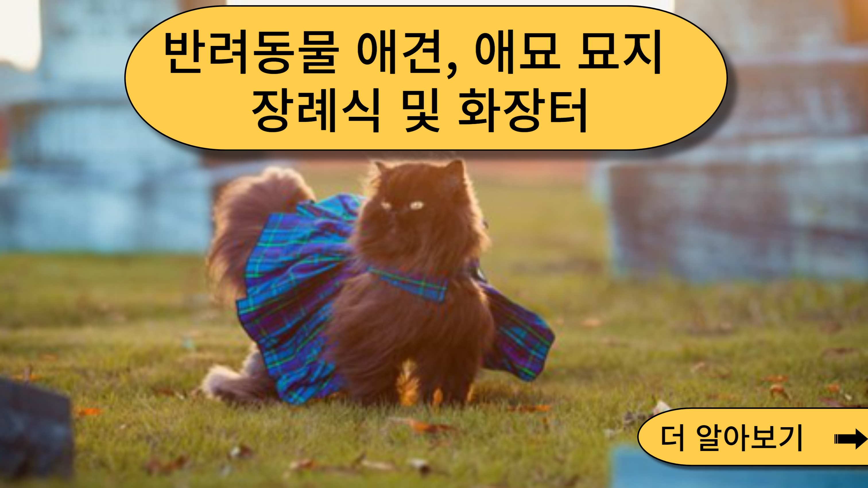  반려동물 애견 강아지, 애묘 고양이 묘지, 장례식 및 화장터는?