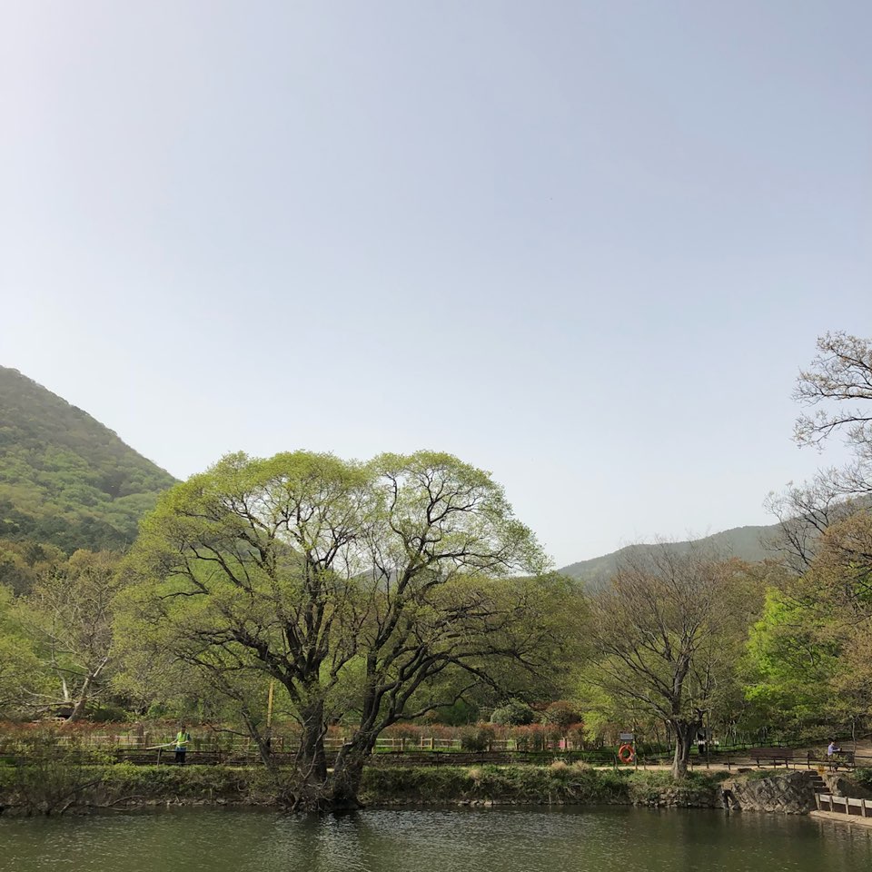  진해의 봄 : 내수면 환경 생태 공원
