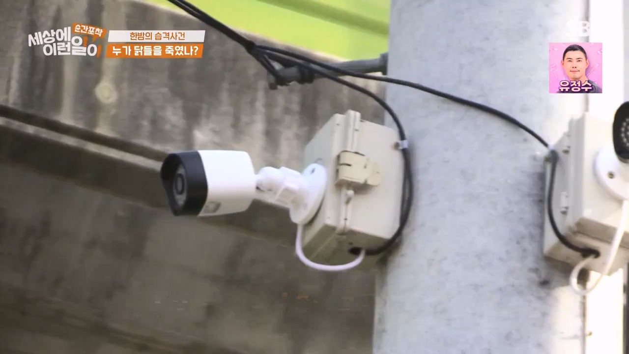 순간포착 세상에 이런일이.E1231.230604p-NEXT.mp4_20230609_202234.000.jpg