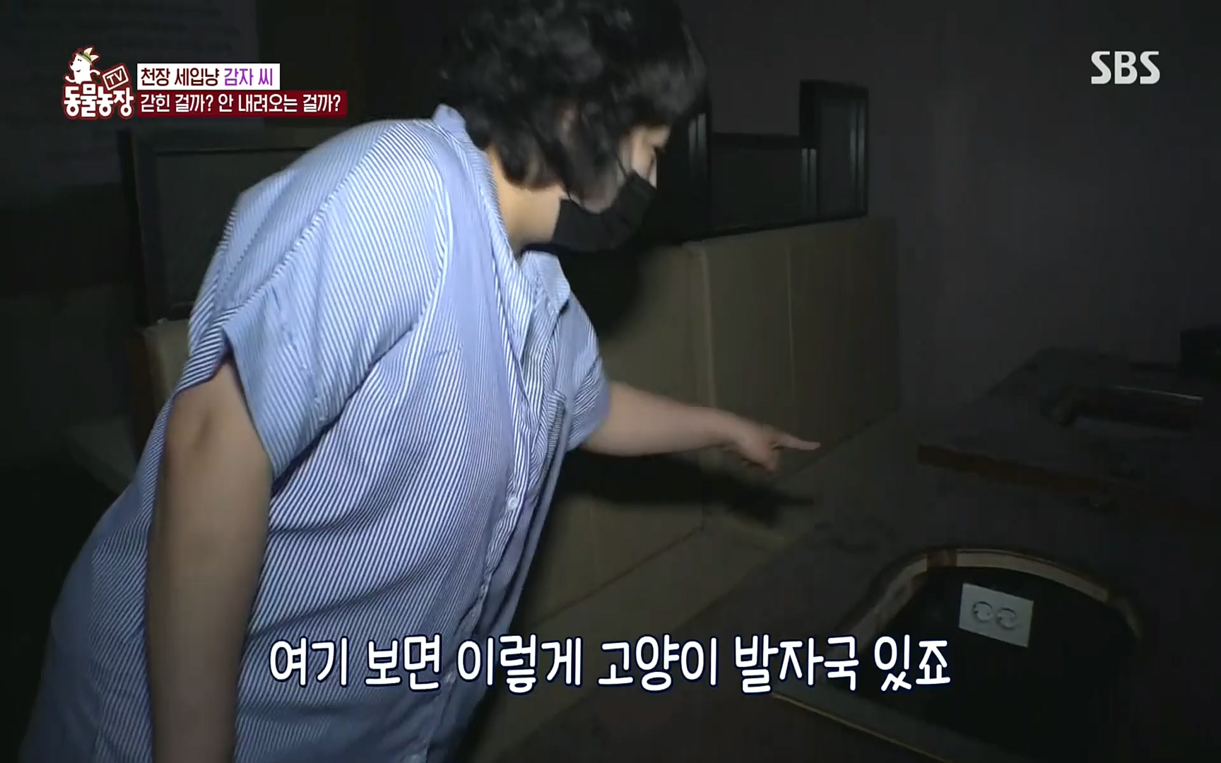TV 동물농장.E1081.220807p.H264-F1RST.mp4_20220807_213622.900.jpg