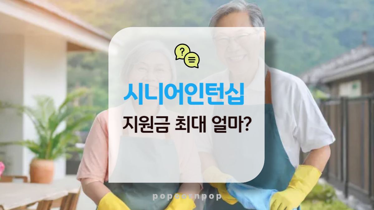 시니어 인턴십 지원금, 최대 얼마까지 받을 수 있을까