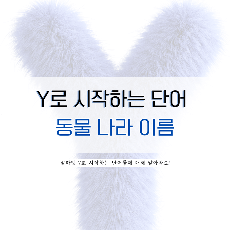 y로-시작하는-단어-동물-나라-이름