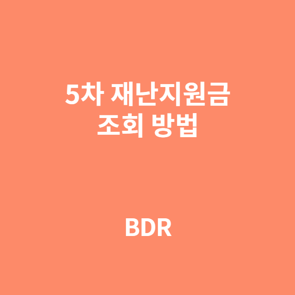  5차 재난 지원금 대상 편하게 조회해보세요