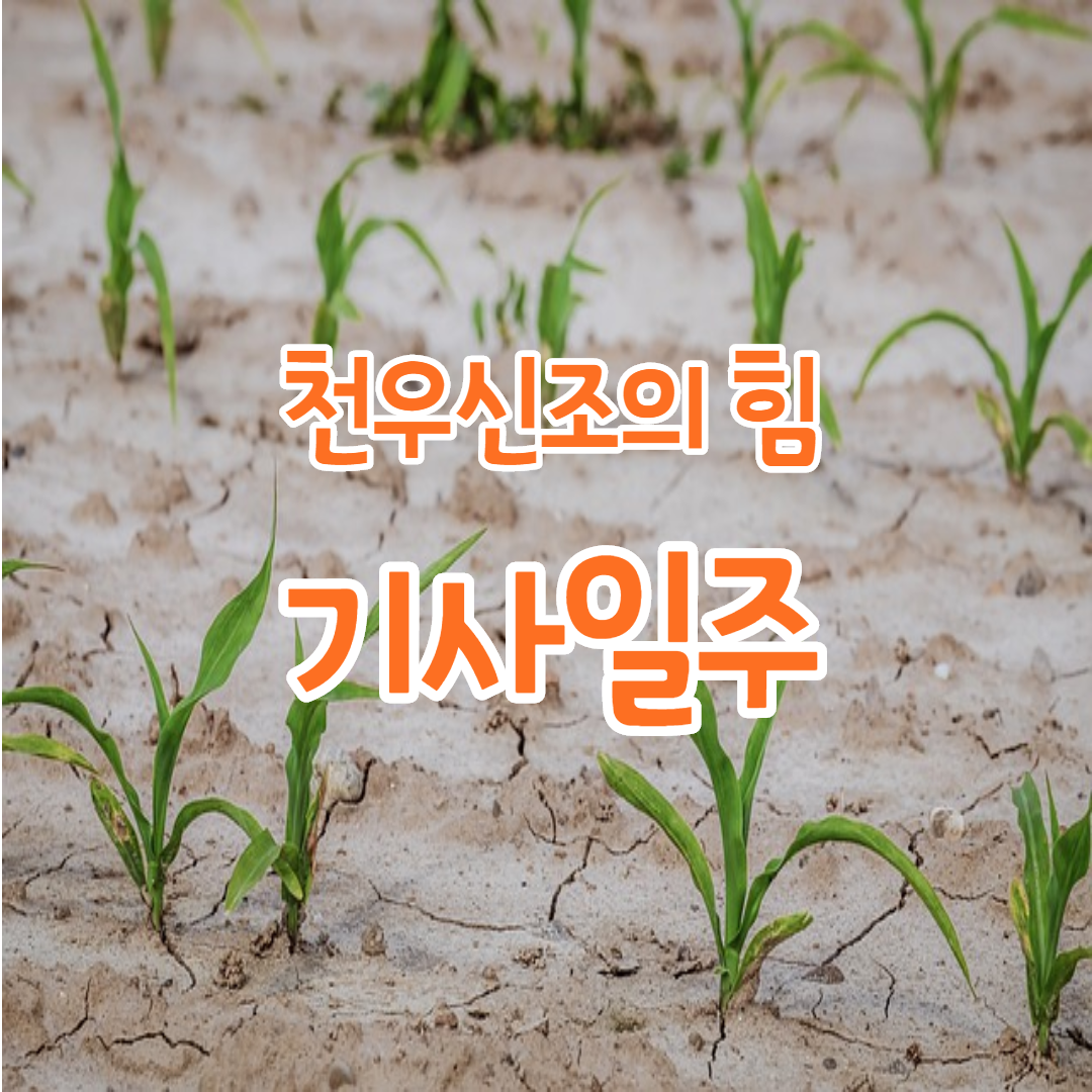  6. 천우신조의 힘, 기사일주