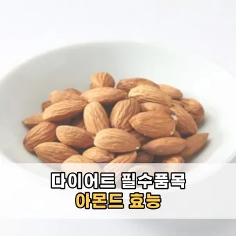 아몬드 효능 하루 섭취량 칼로리_19