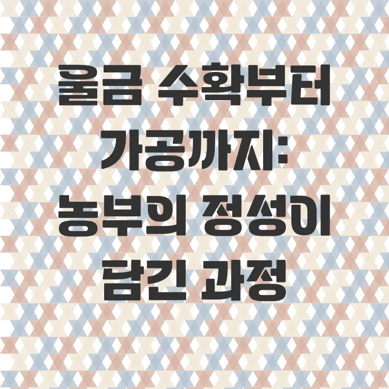 울금농사체험_2
