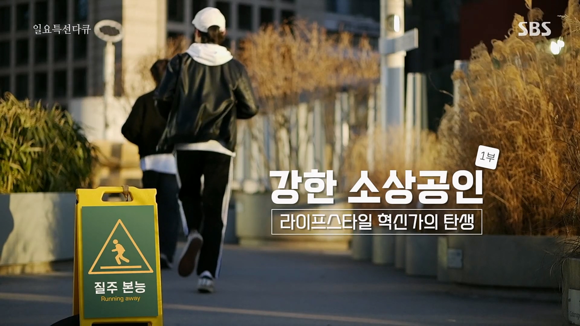 일요 특선 다큐멘터리.E303.230129p.H264-F1RST.mp4_20230206_193511.405.jpg