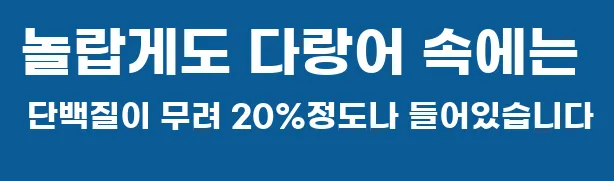 놀랍게도 다랑어 속에는 단백질이 무려 20%정도나 들어있습니다