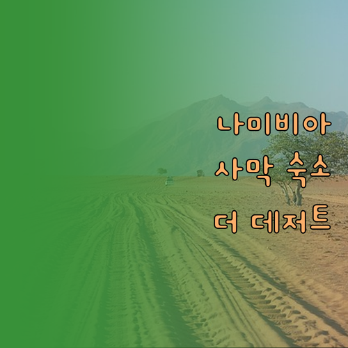 나미비아 여행자를 위한 사막 속 보석