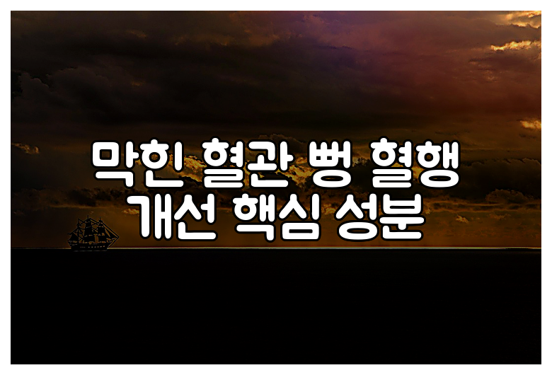 막힌 혈관 뻥 혈행 개선 핵심 성분