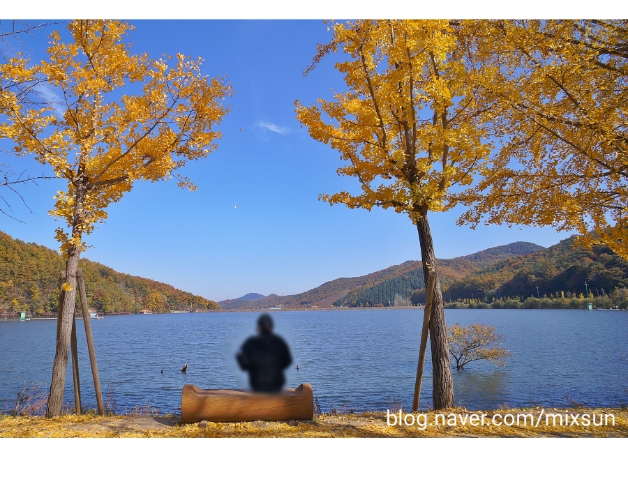 단풍구경 가볼만한 곳 괴산 가볼만한곳 17