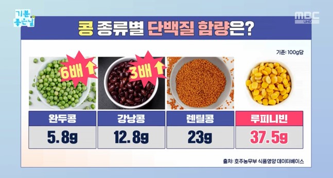 당뇨콩 루피니빈 콩효능 먹는법 정보 안내