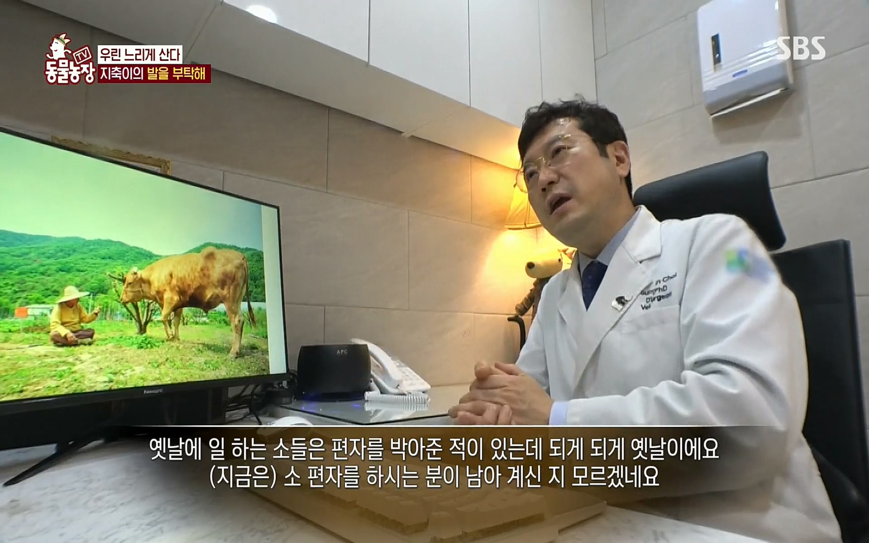 TV 동물농장.E1074.220619p.H264-F1RST.mp4_20220619_181817.210.jpg