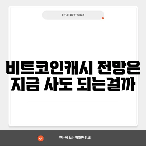 비트코인캐시 전망은 지금 사도 되는걸까