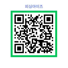 피싱아이즈