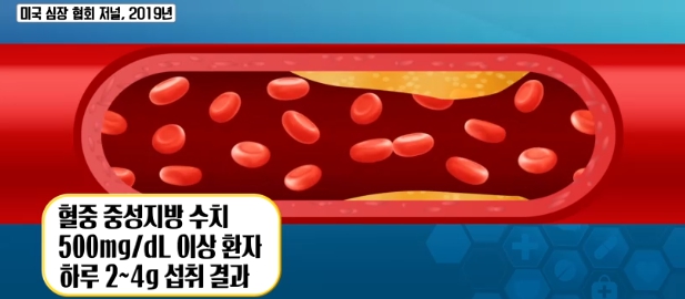 오메가3 효능