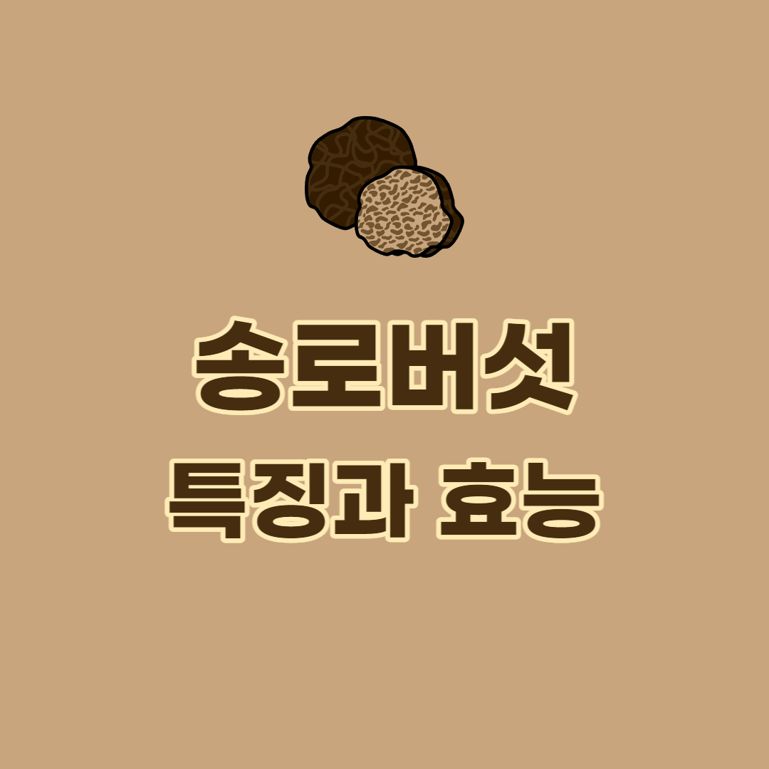 송로버섯-특징과-효능-썸네일