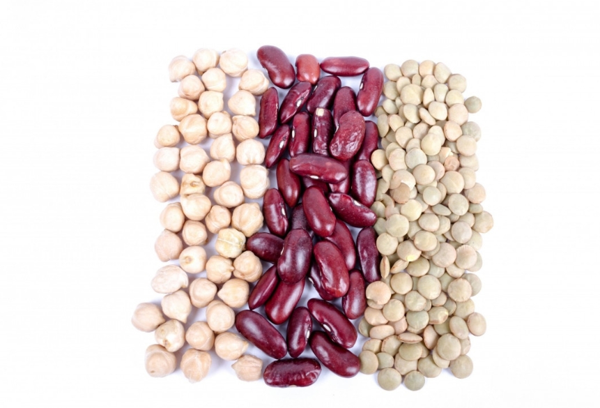 콩과 콩류: 단백질 강자