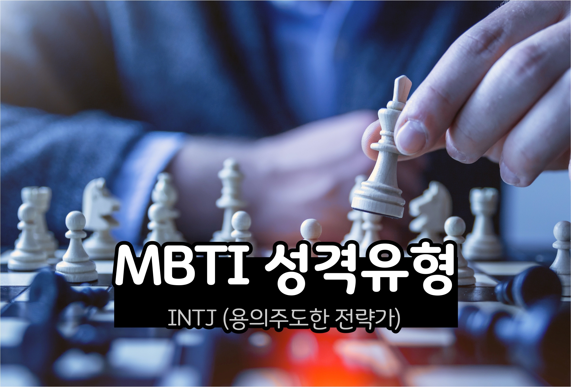  MBTI 성격 - INTJ 유형 (용의주도한 전략가)