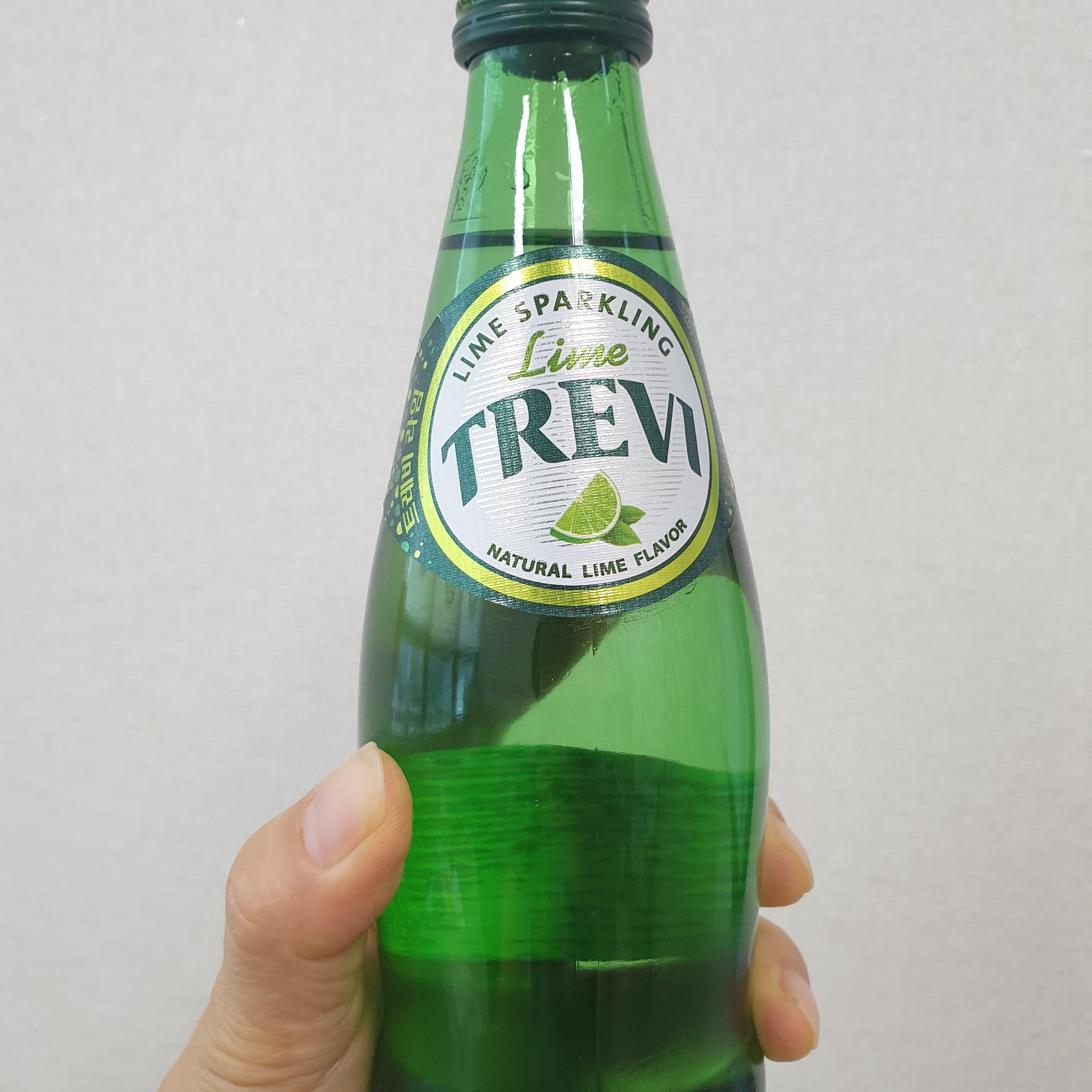  오늘의 간식 트레비라임