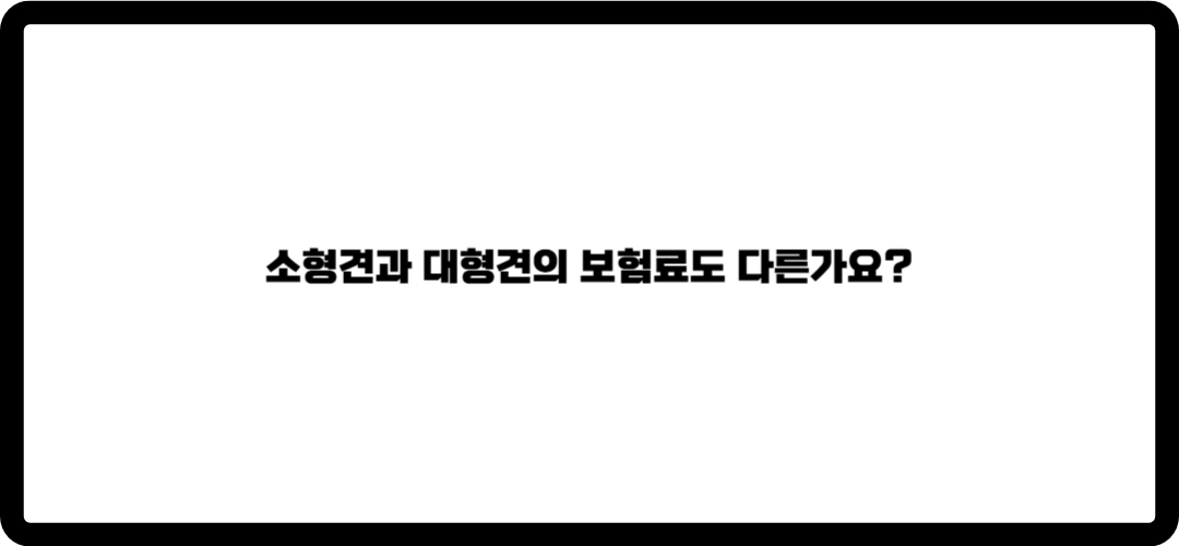 애견보험 추천