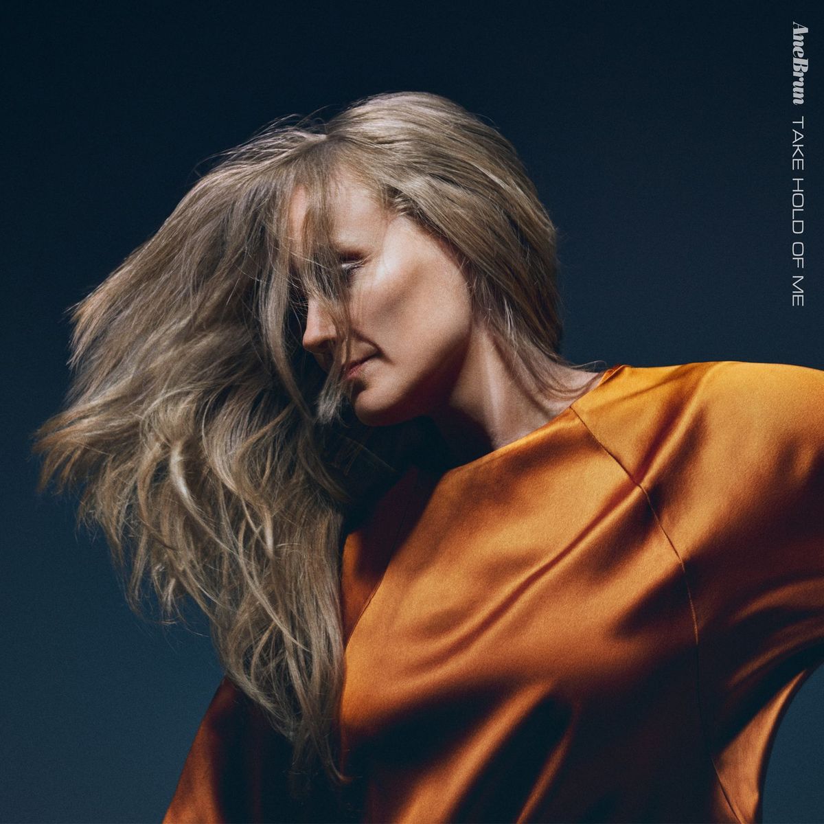  Ane Brun - Take Hold Of Me