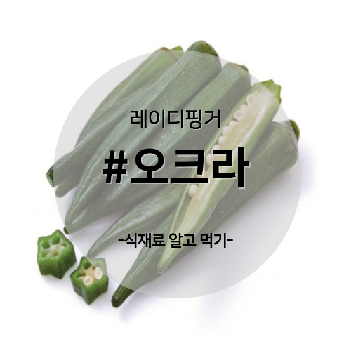 알고 먹기 26. #오크라