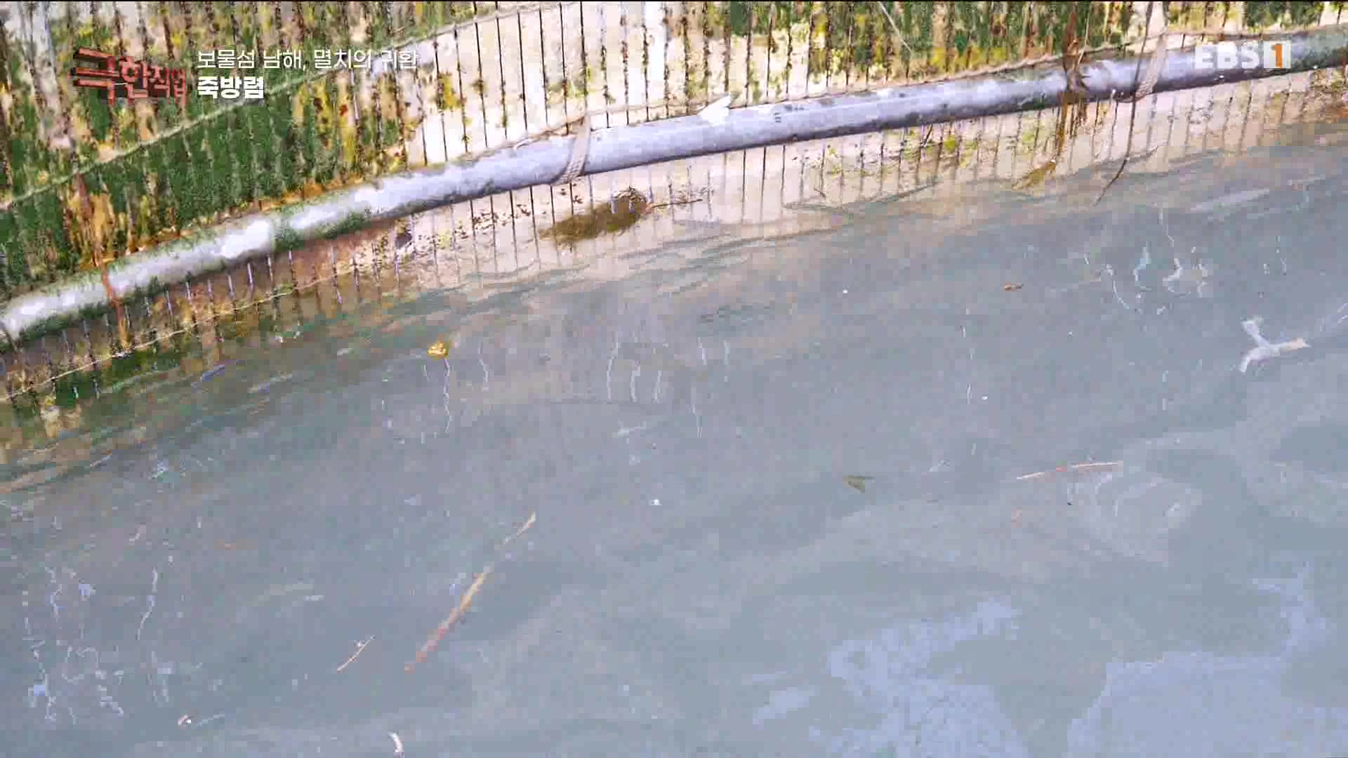 극한 직업 - 보물섬 남해, 멸치의 귀환 1080p.mp4_20230612_202040.186.jpg