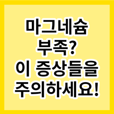 대표-사진