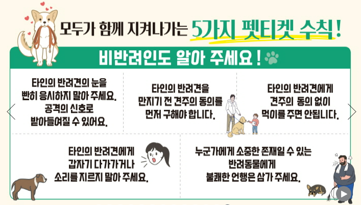 비반려인도 알아야 하는 5가지 펫티켓 수칙