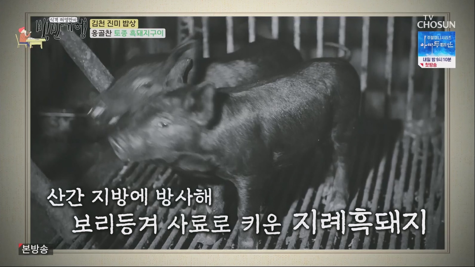 식객 허영만의 백반기행.E204.230623p.H264-F1RST.mp4_20230624_163544.200.jpg