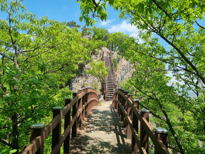등산로