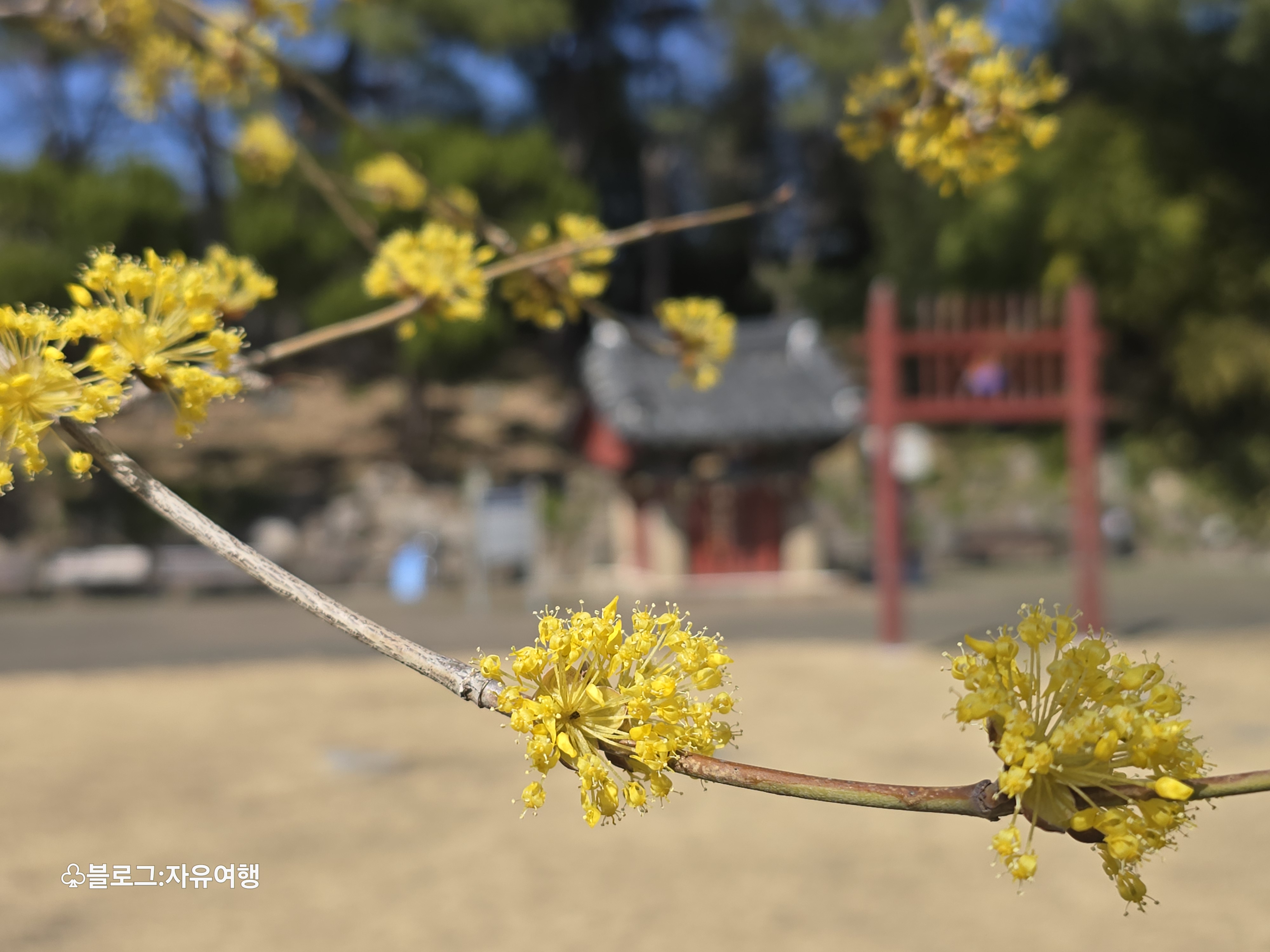 동헌 이미지