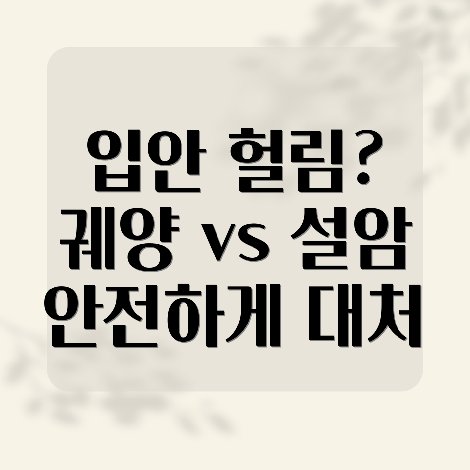 입안 헐림