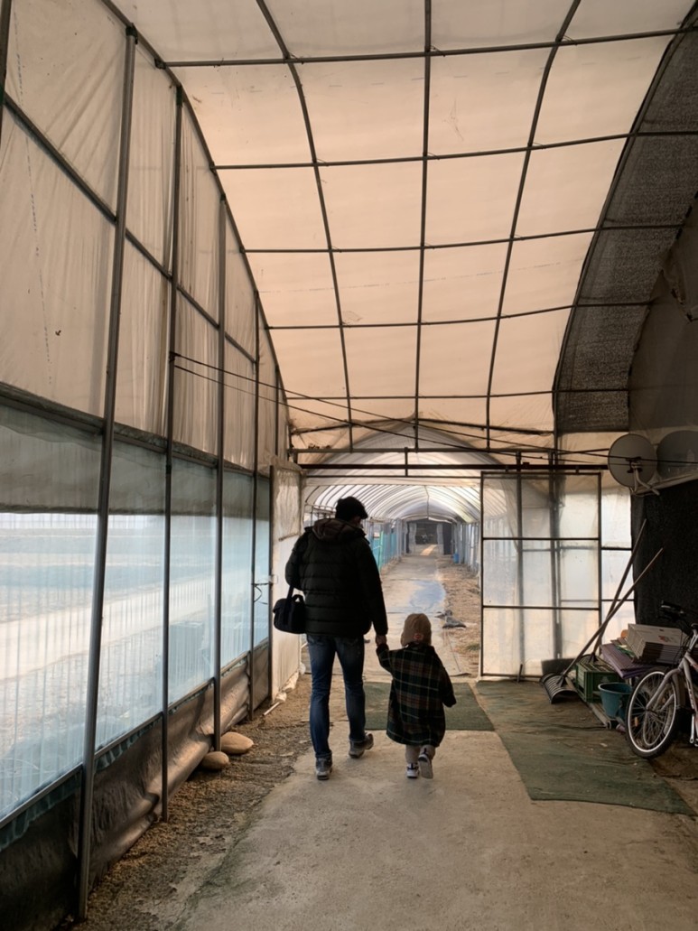 정현딸기농장, 13