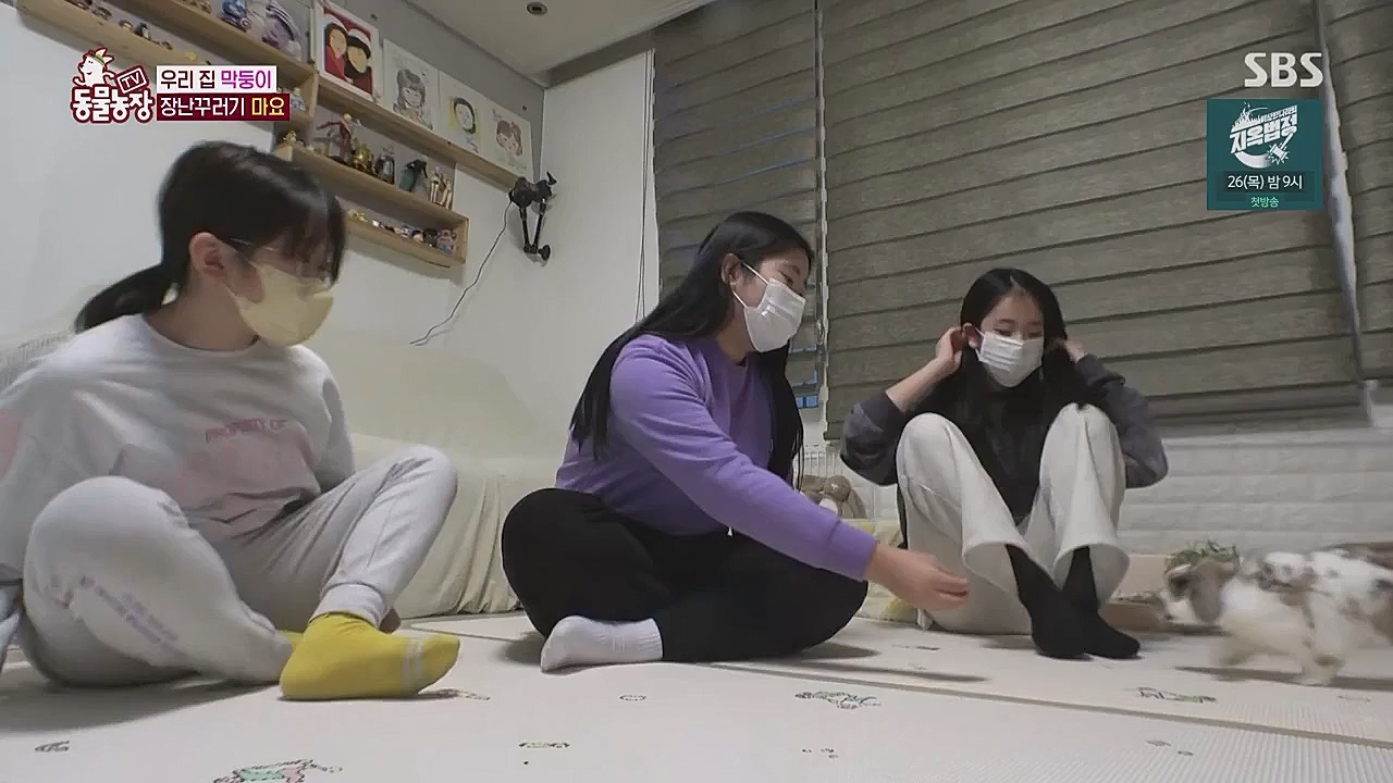 TV 동물농장.E1104.230123p.WANNA.mp4_20230123_195415.693.jpg