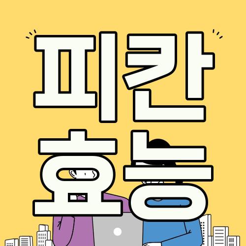 피칸 효능