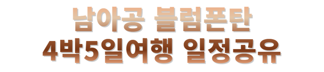 남아공 블럼폰탄 여행후기
