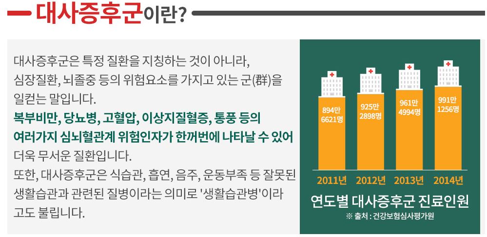  대사증후군 증상 좋은 음식