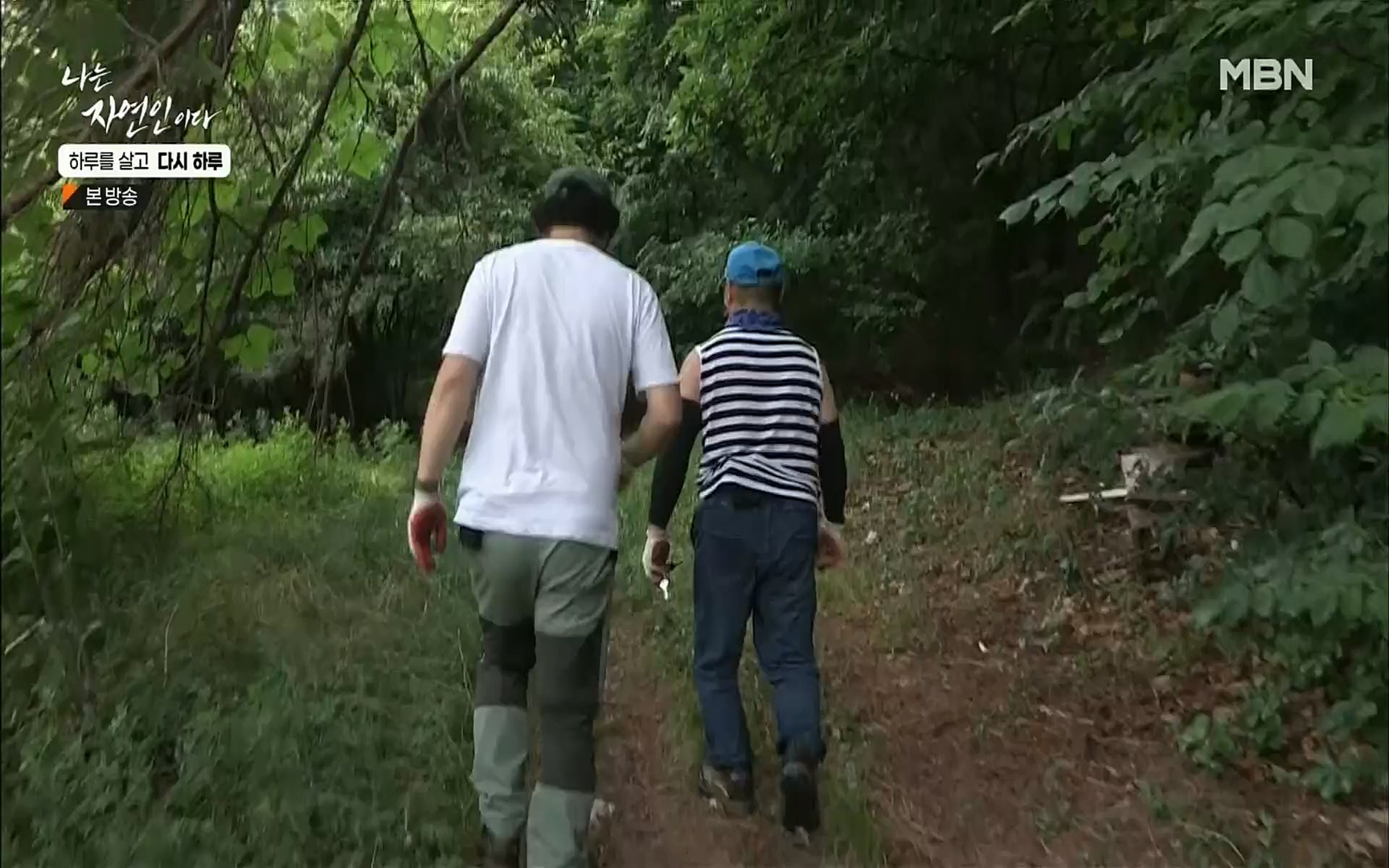 나는 자연인이다.E509.220706p.H264-F1RST.mp4_20220707_183731.071.jpg