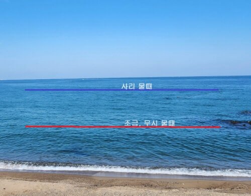  해루질 물때표 보는법 조금 무시 사리 간조 만조