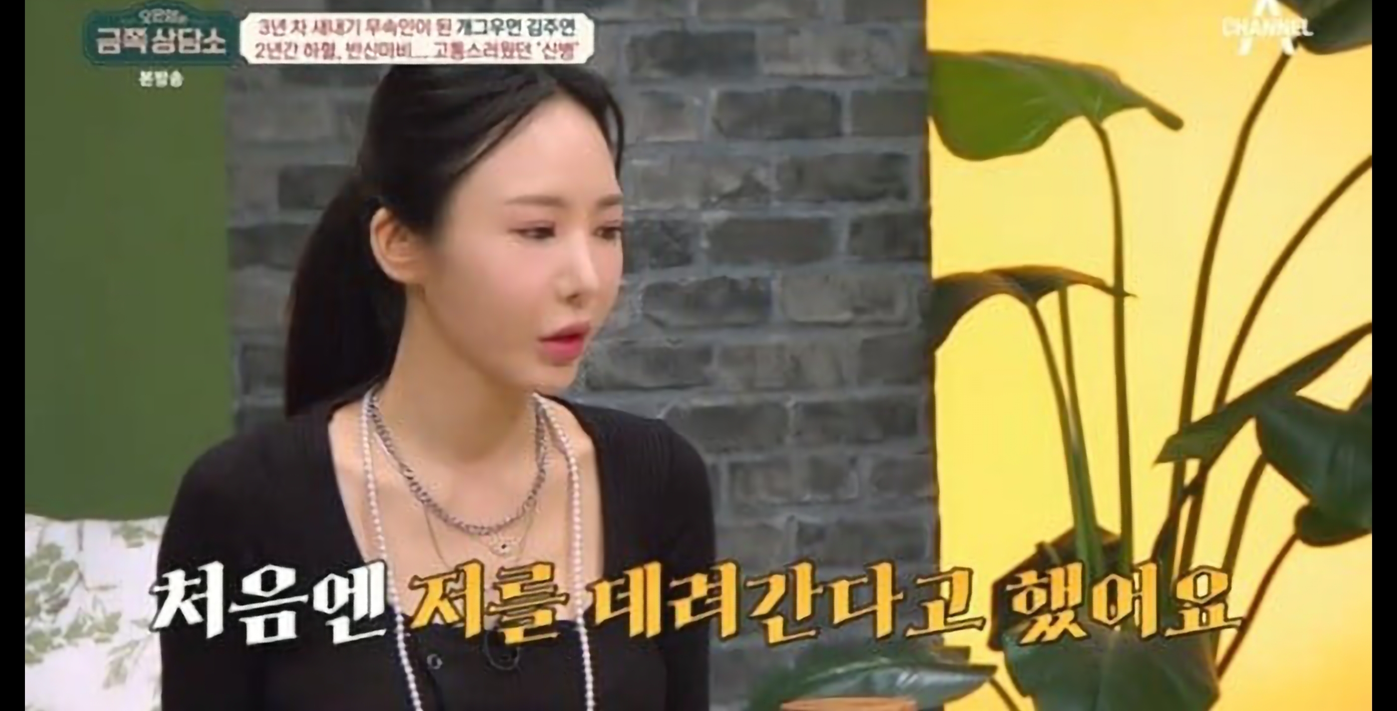 금쪽상담소 김주연