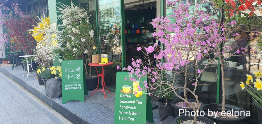  [전시리뷰]라 카페 갤러리, 박노해 사진전〈길〉展, 통의동, ~2021.06.06까지
