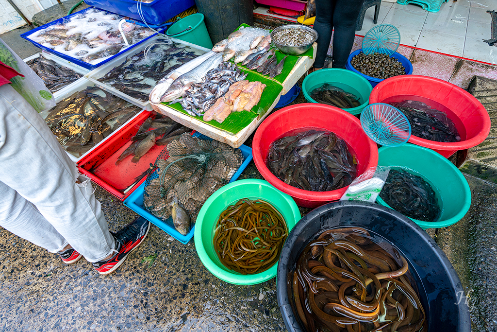 태국 방콕 후웨이쾅 시장(ตลาดห้วยขวาง Huai Khwang Market) 각종 해산물