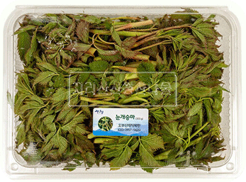 6시 내고향 산나물4