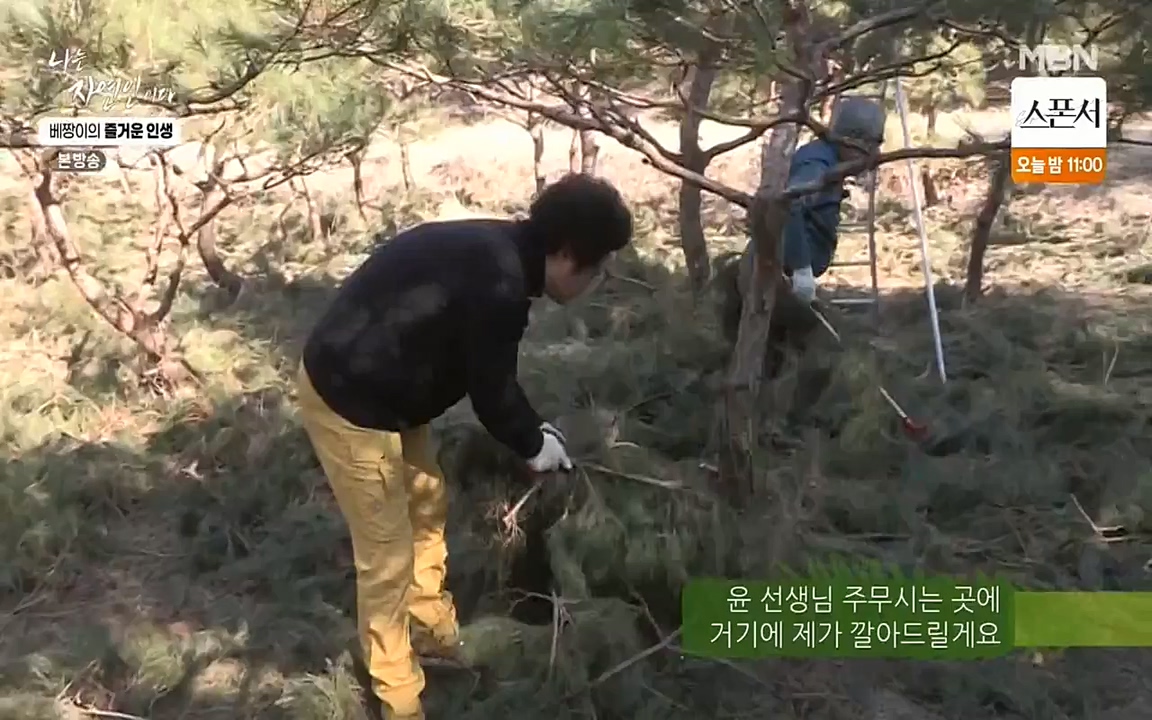 나는 자연인이다.E495.220331p-NEXT.mp4_20220331_174355.483.jpg