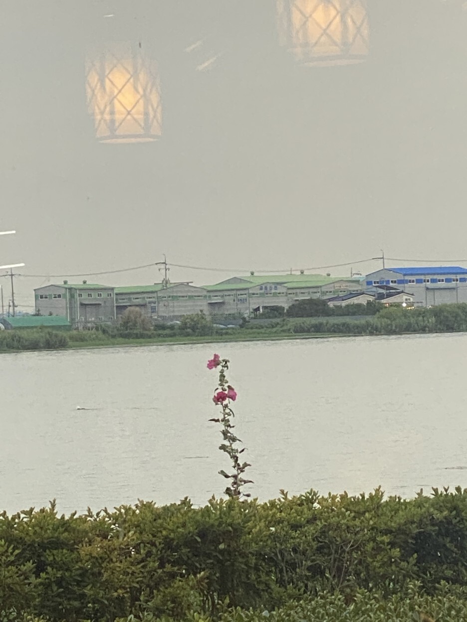 장어타운 이미지