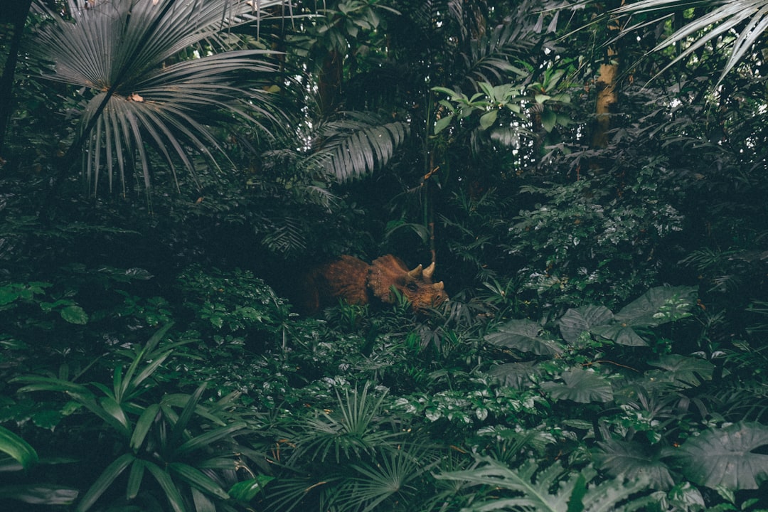 Dinosaur