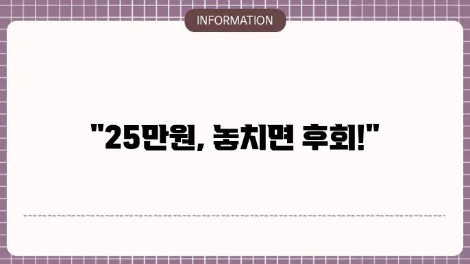 정부지원금 25만원: 신청 및 사용 가이드